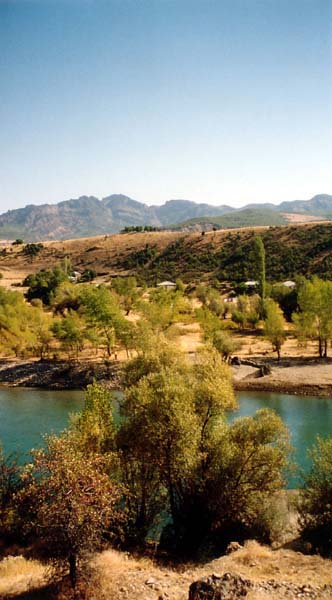 2004-Beydamu-1