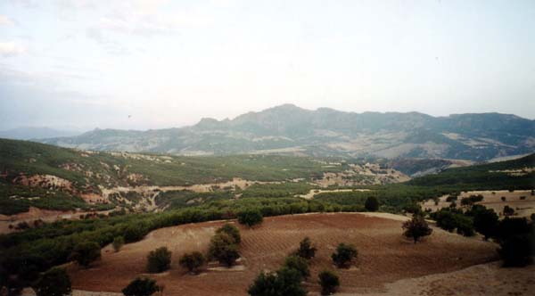 2004-Robayige-1